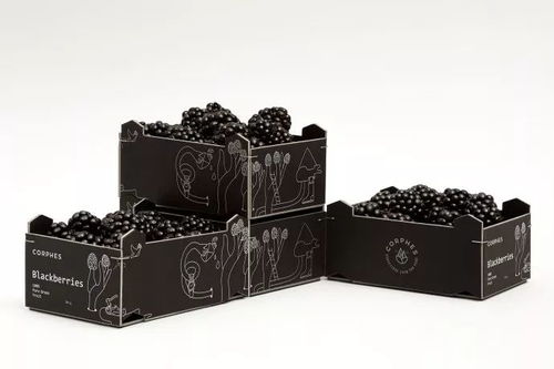 農(nóng)產(chǎn)品土特產(chǎn)包裝設(shè)計參考