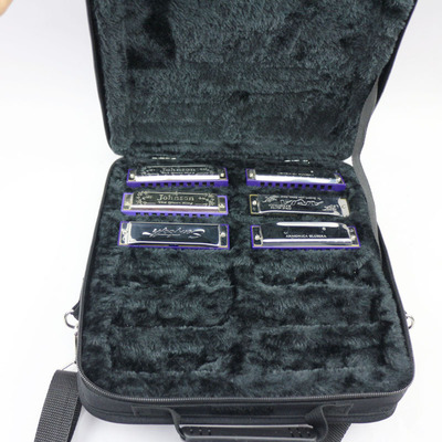 深圳工廠生產(chǎn)箱包 手提包 口琴包 訂做各類樂器包可印制LOGO