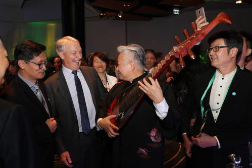 方錦龍 國樂演奏 網紅第一人