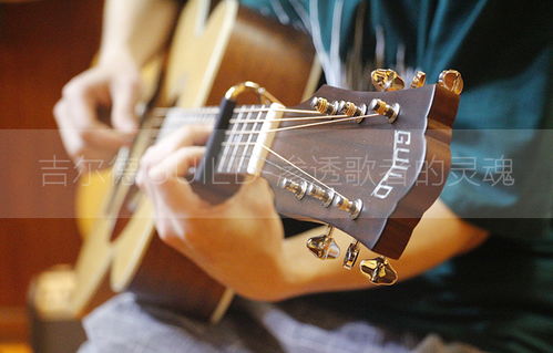 深圳guild d240e吉爾德吉他專賣店面單電箱簡介