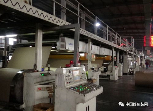 行業寒冬下的紙包裝廠 9家企業資產遭拍賣，民樂包等品牌遇困