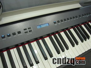 國產品牌電鋼琴 鍵盤技術顯著進步，音源性能尚需提升——附電子琴包搭配指南